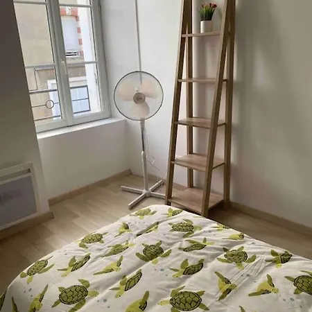 Des Tortues Châteaubriant